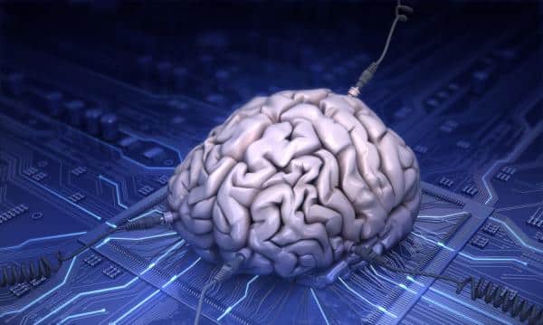 Rewire Your Body’s Hard Drive