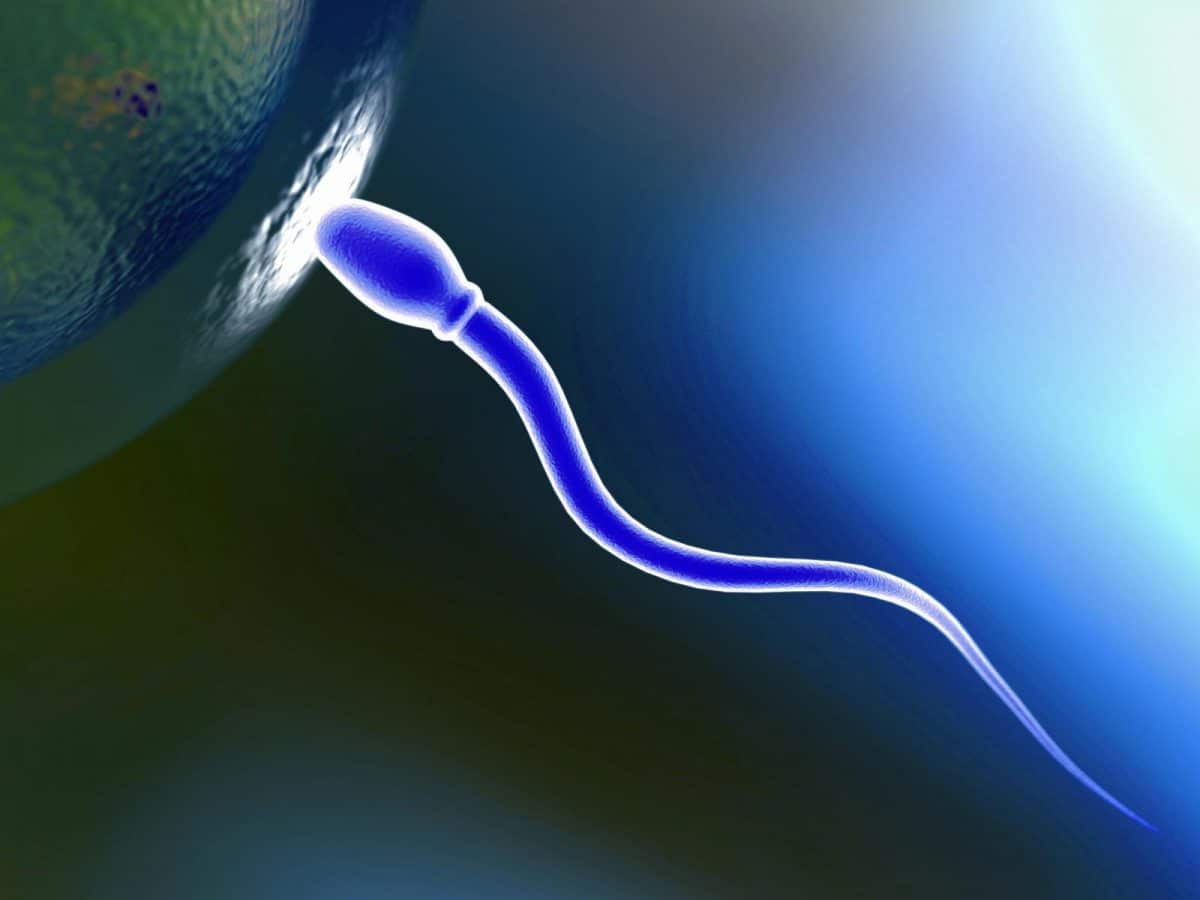 Can Your Choices Alter Your Sperm’s Genetic Code?