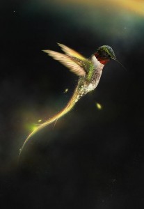 Humming Bird