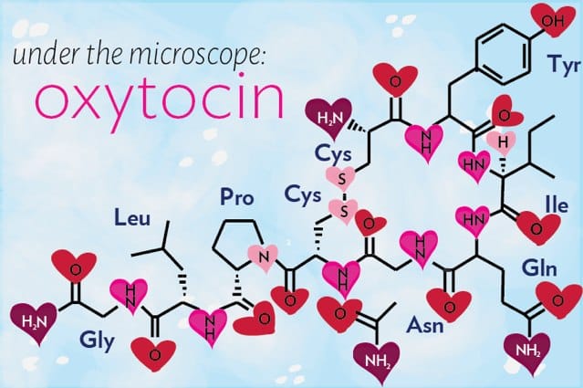 Oxytocin – The Dark Side Of The Love Molecule