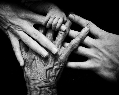 The Smell Of Fear, An Epigenetic Trauma