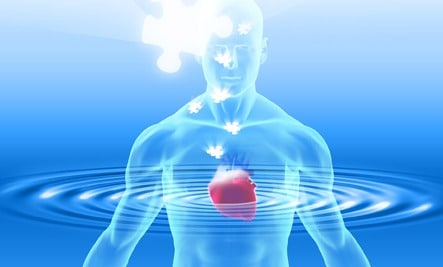 Body Current® Intelligence Practice: Peak 8 Training By Shanti Medina
