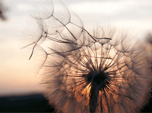 Letting Go By: Susan Aplin Pogue