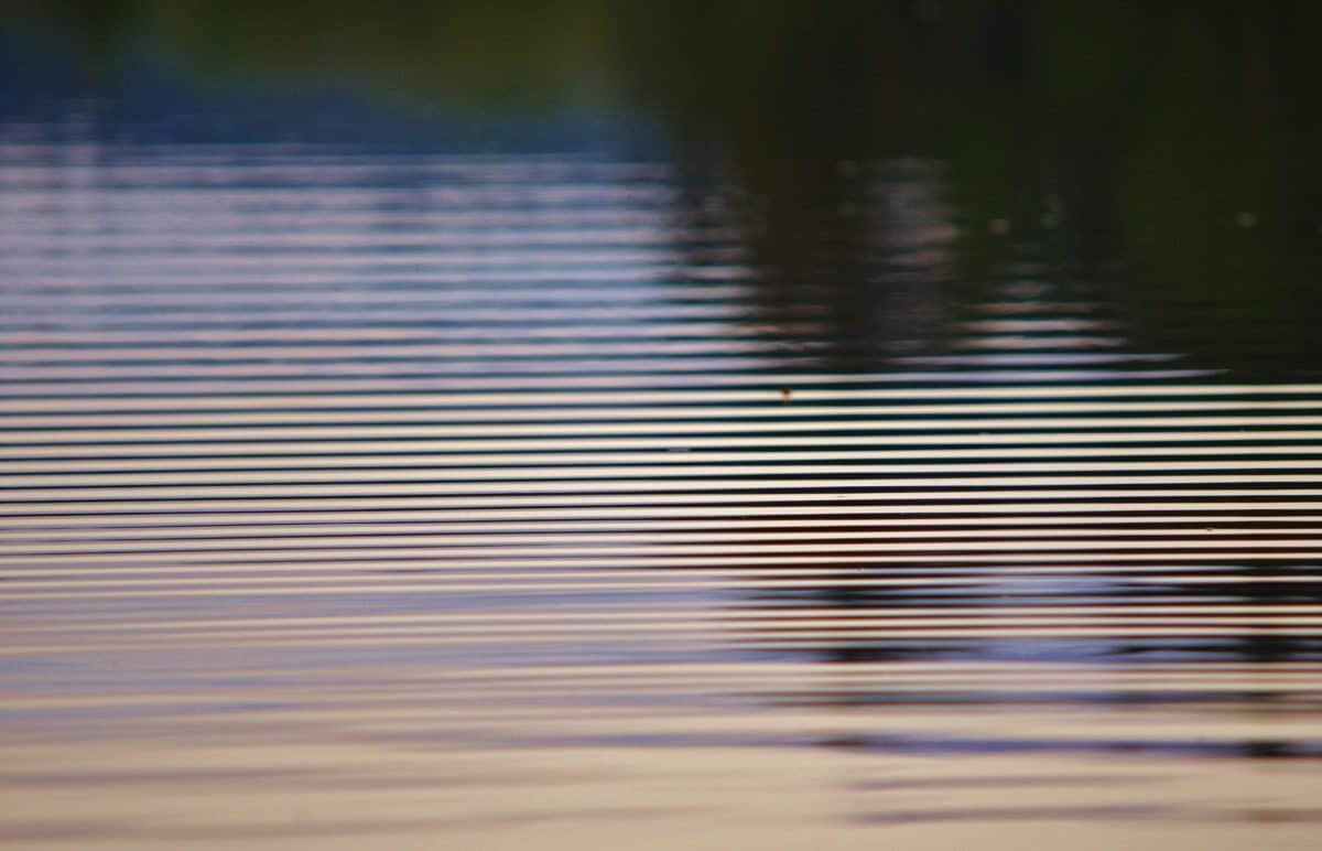 Ripple Into Freedom By: Kelley Seriano