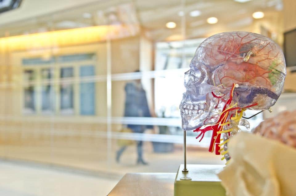 Lisa’s Note Of The Day: 85 BILLION NEURONS