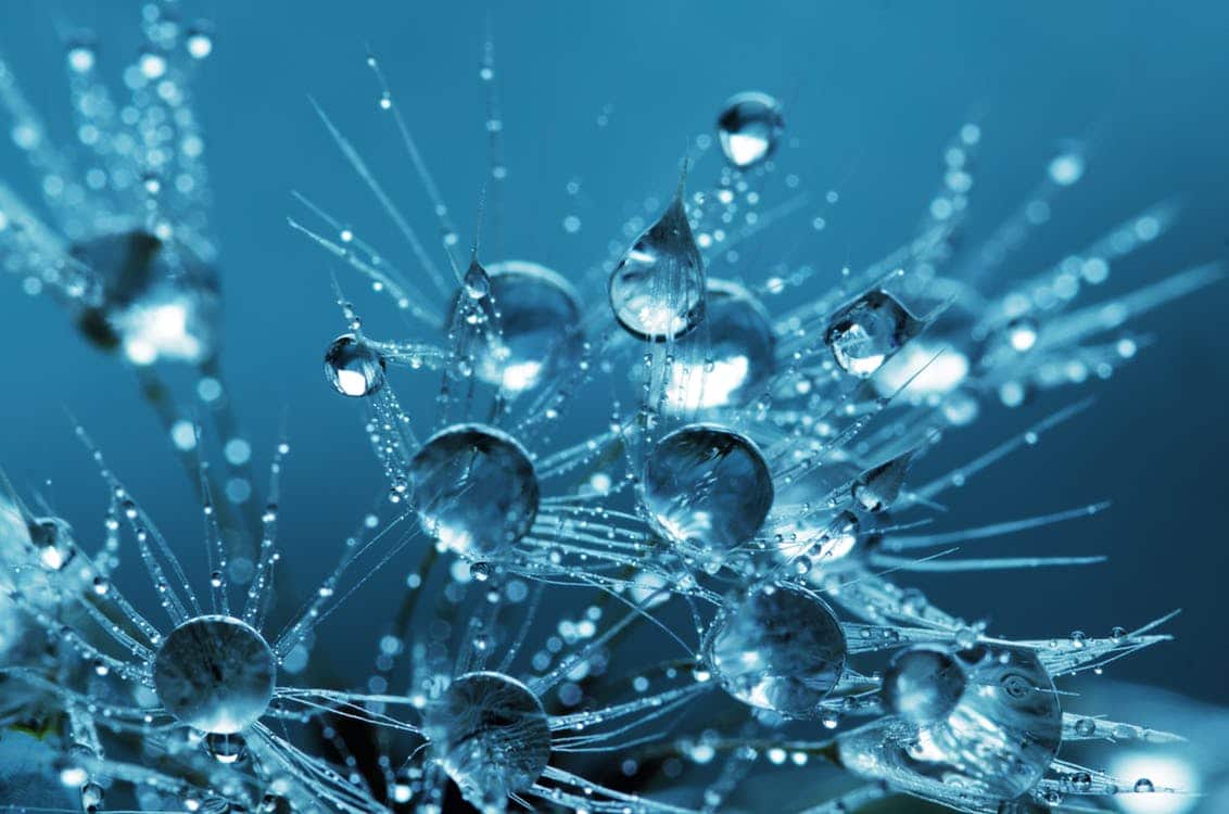 How To Re-Wire Our Brains! By Danielle Rachlin, CNSF