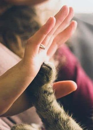 Navigating Pet Loss Grief Through Neurosculpting® By Andrea Floyd
