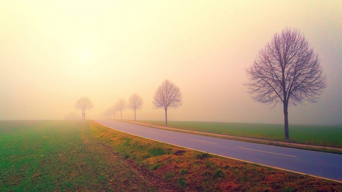 Healing Doesn’t Have To Hurt By Travis Rumsey, CNSF