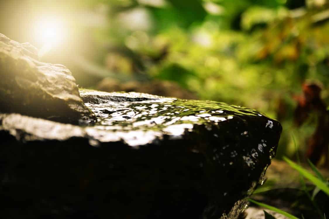 Stress Is Inevitable. How To Make It GOOD For You! By Danielle Rachlin, CNSF